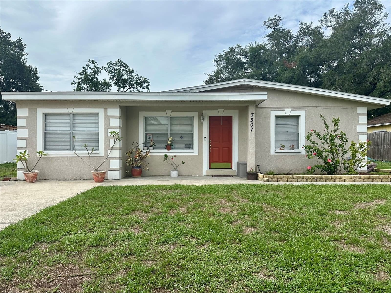 7507 CORAL VINE