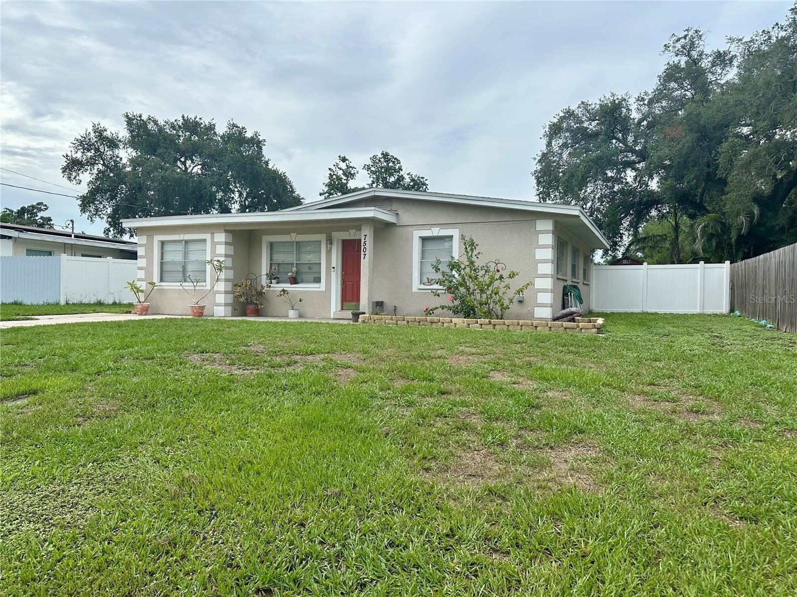 7507 CORAL VINE
