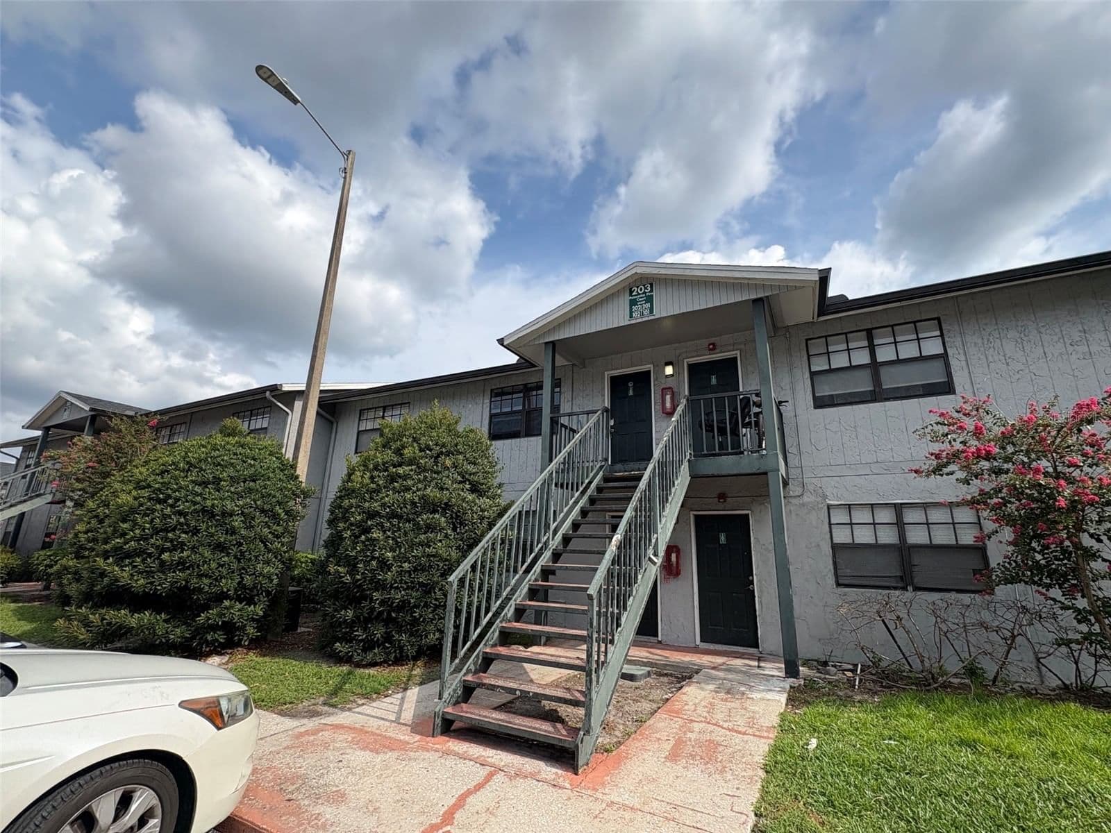 203 POINSETTIA PINE
