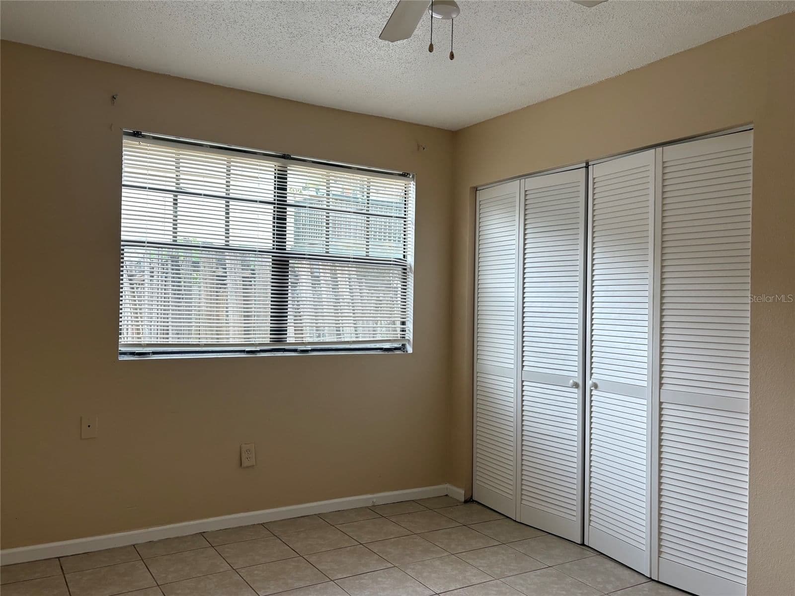 203 POINSETTIA PINE