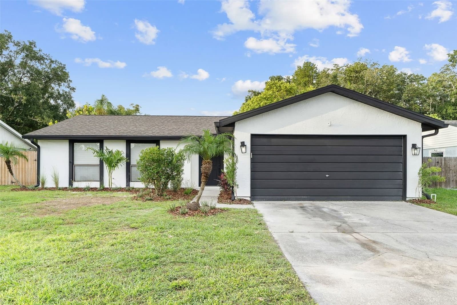 5308 BLACK PINE