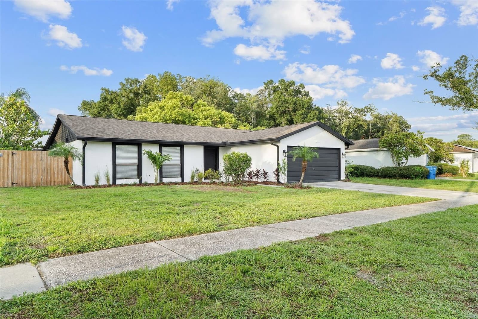 5308 BLACK PINE