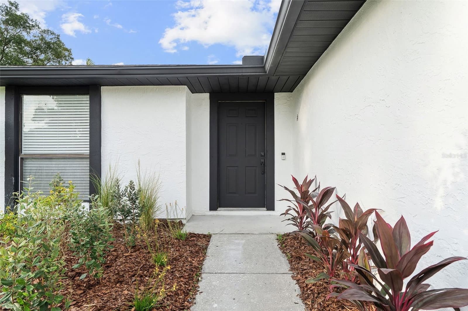 5308 BLACK PINE