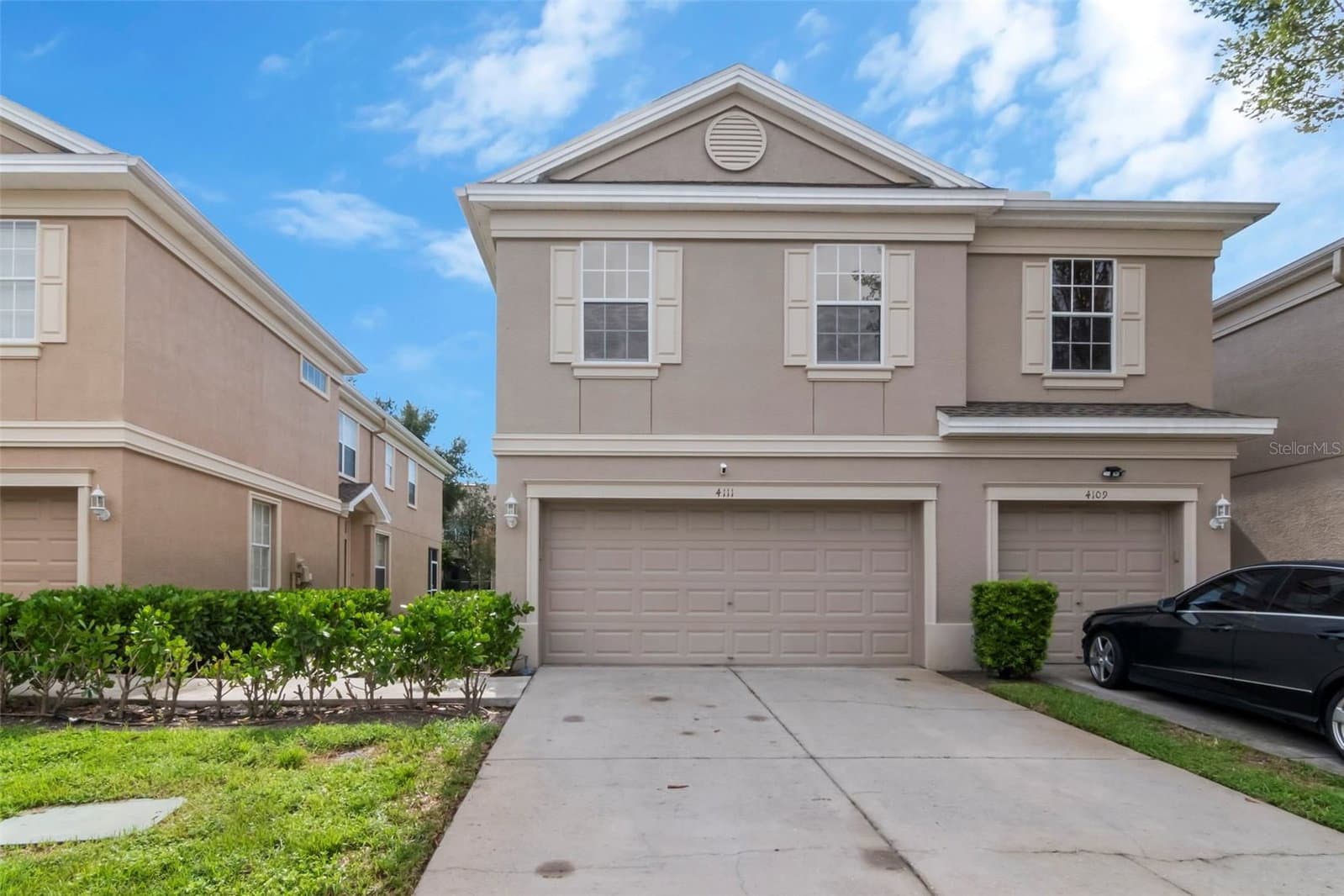 4111 BISMARCK PALM