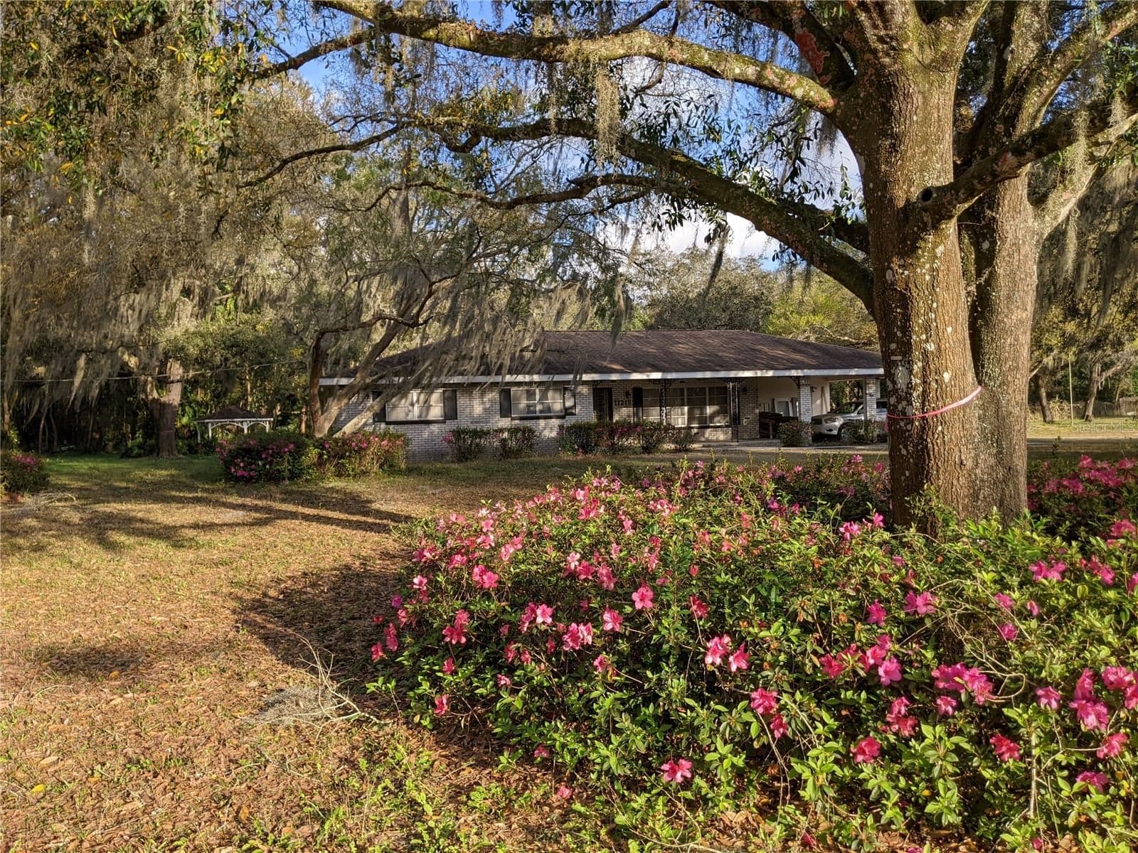 11215 DAVIS Road