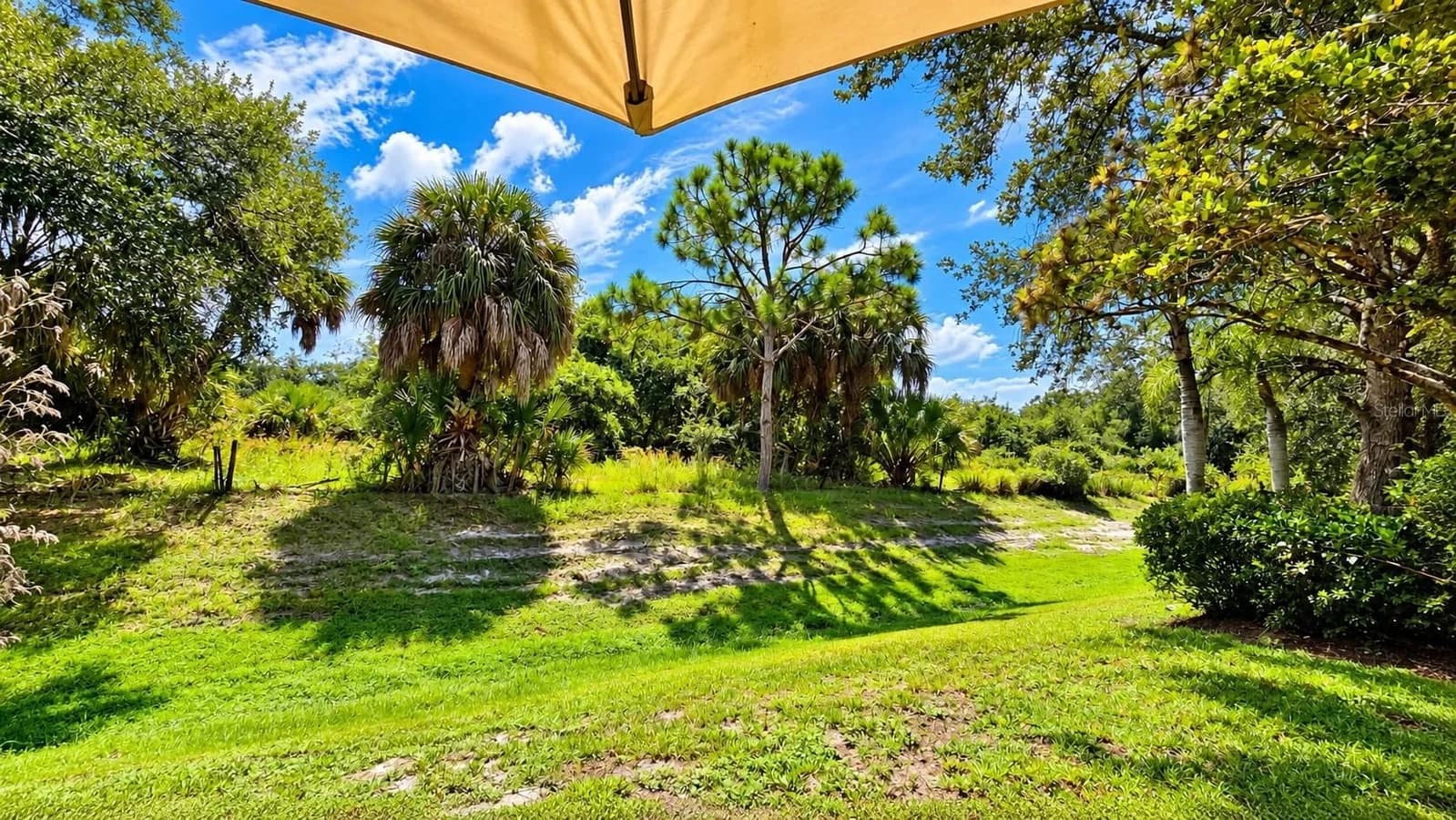 170 APPALOOSA Trail
