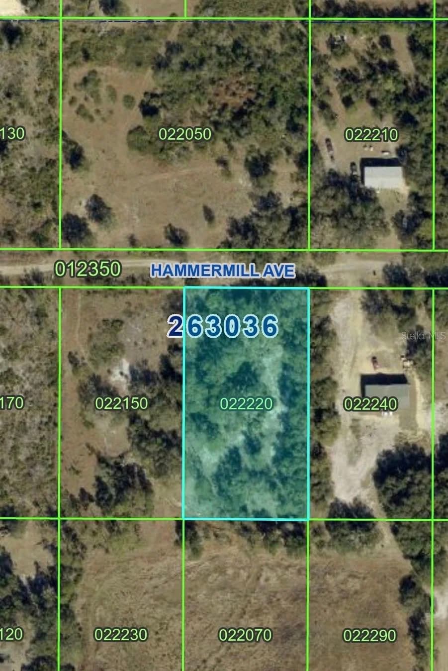 HAMMERMILL Avenue